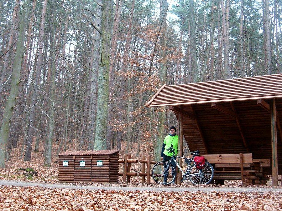 23.11.2013. Sobotnia rowerówka. Krótki odpoczynek na parkingu leśnym, nad jeziorem Zduńskim