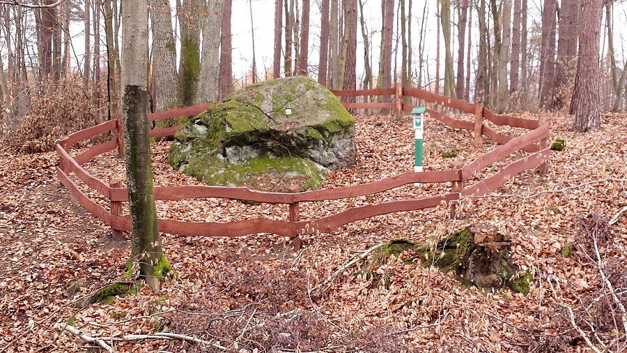 Pomnik przyrody