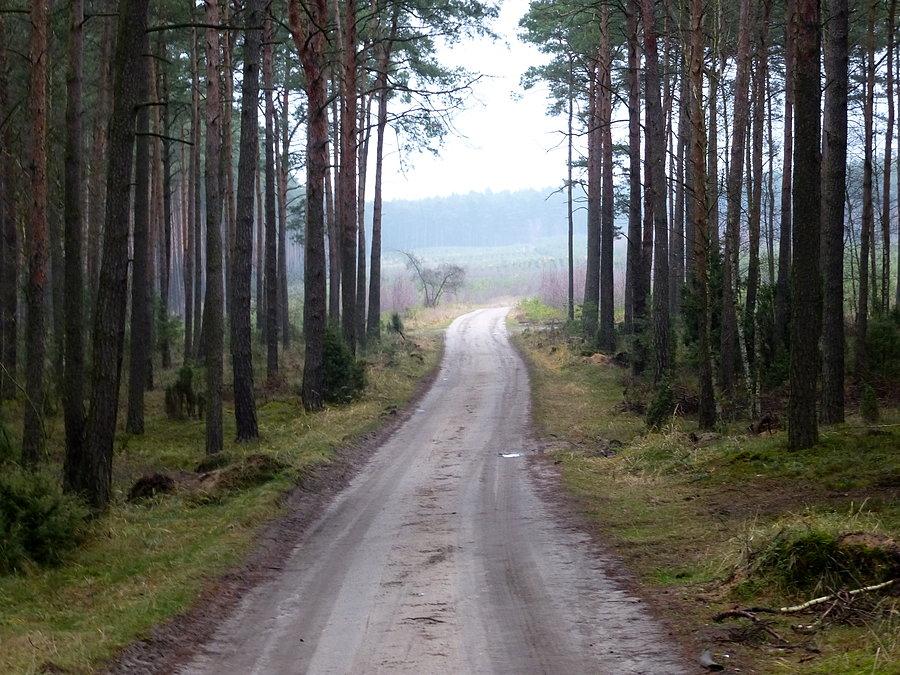 Ostatnia częśc terenowego odcinka gdy nagle skończyła się gładka i twarda gruntówka