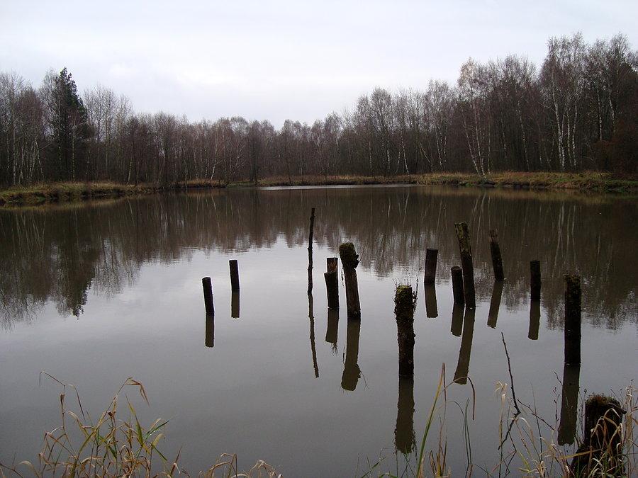 Staw na karczemce