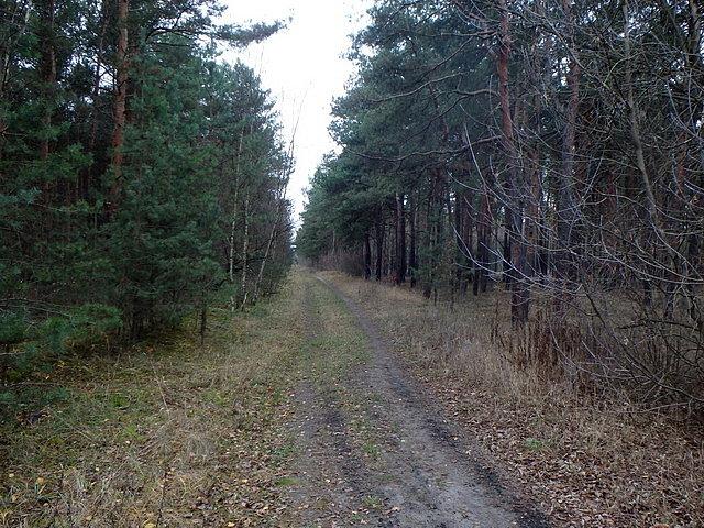 Niebieski Szlak Brdy