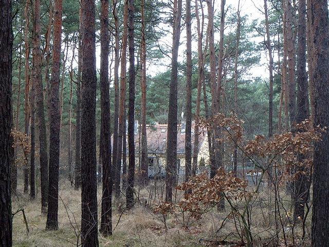Gdzieś w oddali zamajaczył mi jakiś budynek