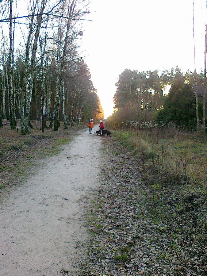 To zachęca do spacerów