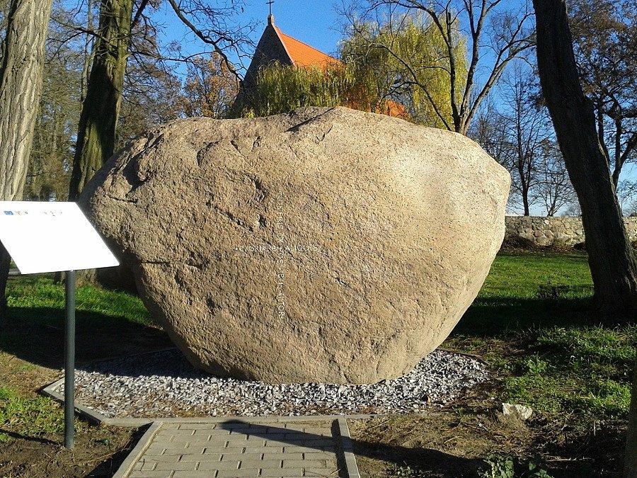 Głaz narzutowy o obwodzie 8 metrów w Krąpielu