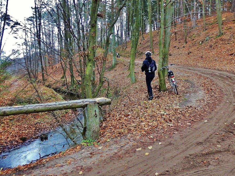 Na trasie wycieczki - Nadleśnictwo Starogard