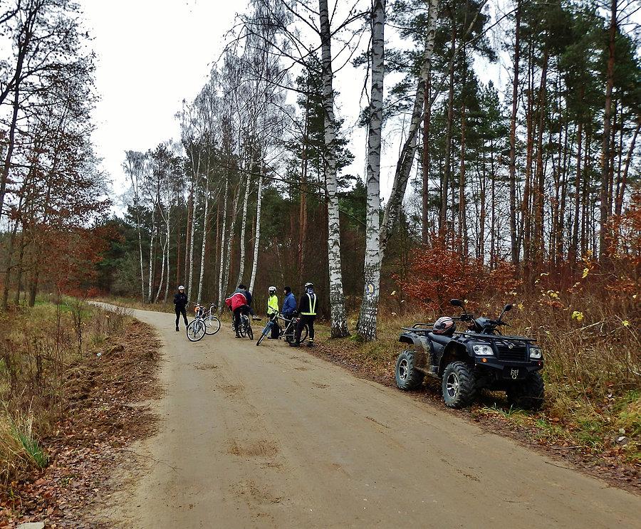 Na trasie wycieczki - Las Lubiszewski