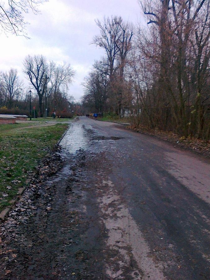 Na kałuzy była dziś cienka warstwa lodu