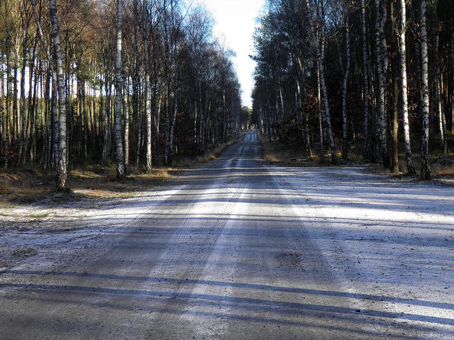 Oszroniona droga leśna nr 27 - zima tuż, tuż