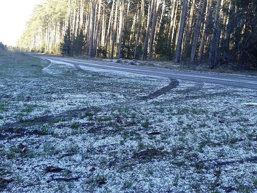 Pierwszy śnieg