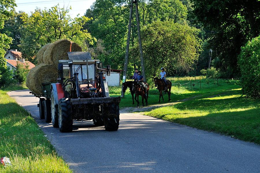 Podziwiamy traktor