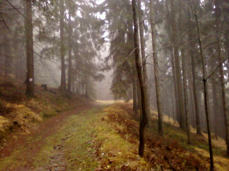 Bardzo łagodny szlak