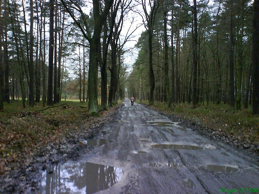 Droga Lubartów - Witoszyn... Nie wiem, jak ten dziadek w tle jedzie tędy na składaku, bo ja na góralu z trudem jechałem