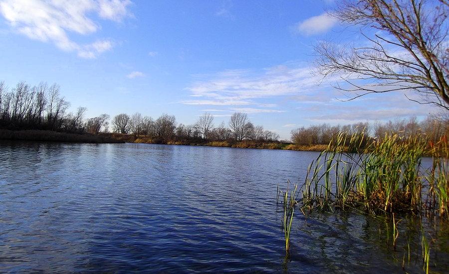 Nieboczowy