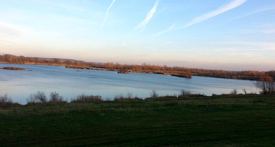 Polder Buków w okolicy Roszkowa