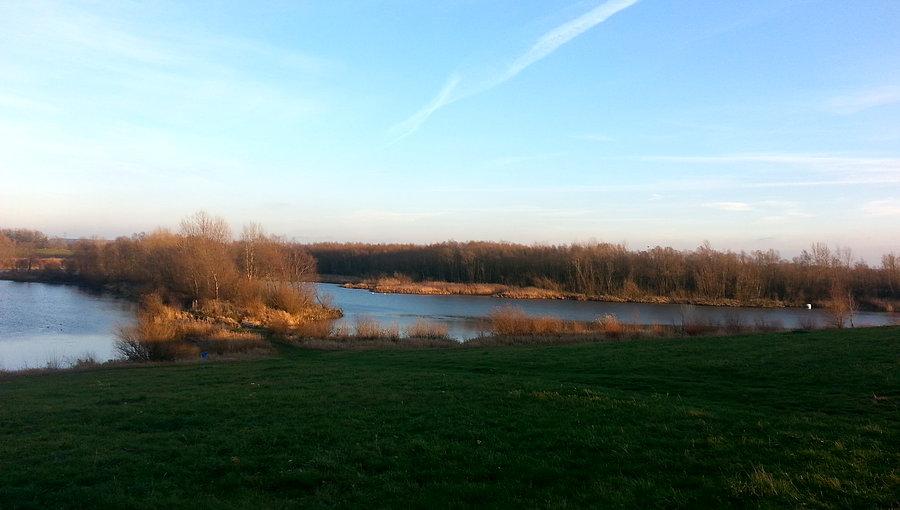 Polder Buków
