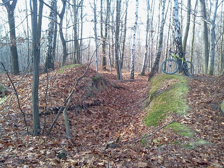 Grodzisko w Wodzisławiu
