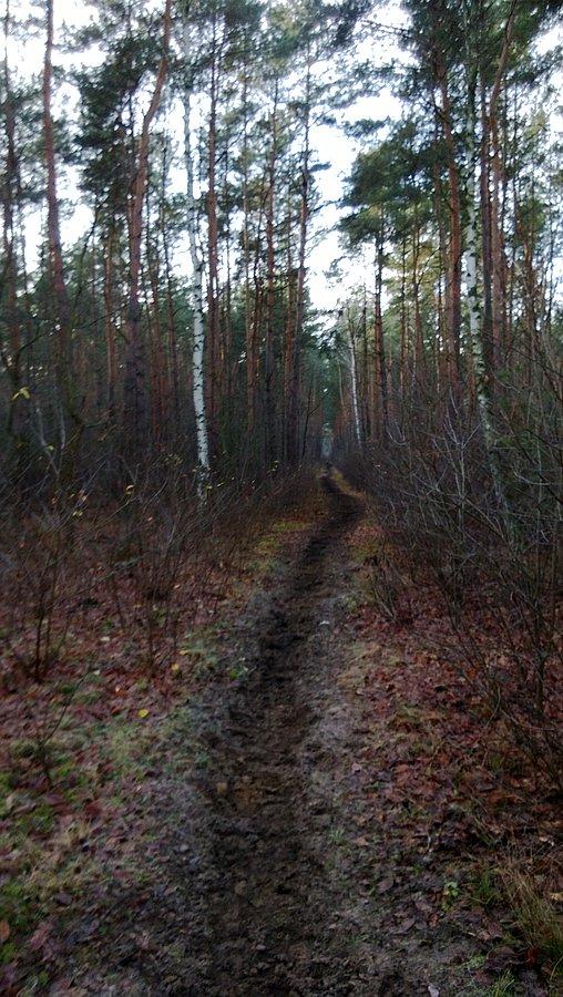 Ciagle nieznane pobliskie drogi, do odkrycia