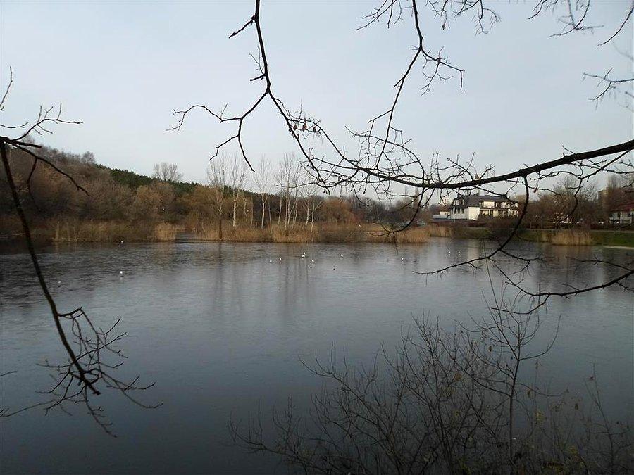 "Glinki" szczęsliwicke