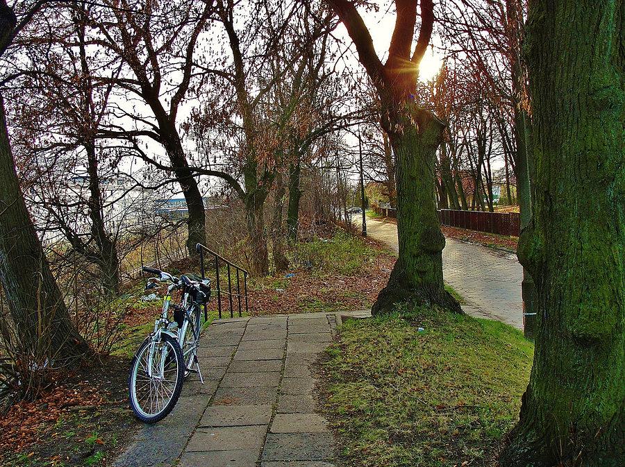 Na trasie wycieczki-Tczew