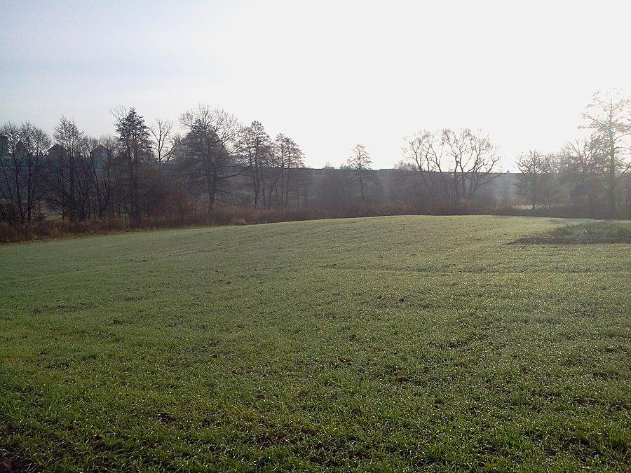 Świerklany