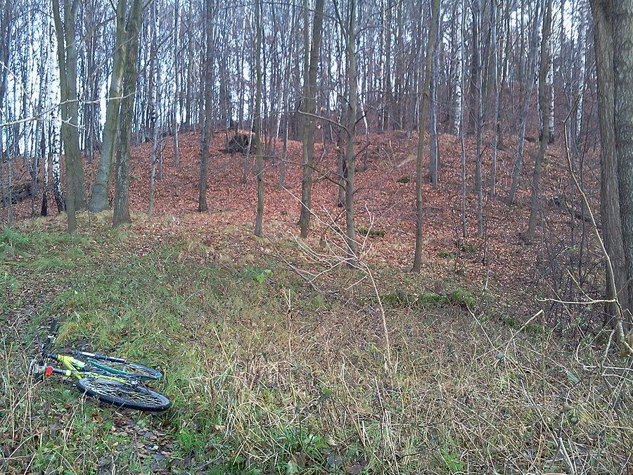 Grodzisko w Wodzisławiu Śl