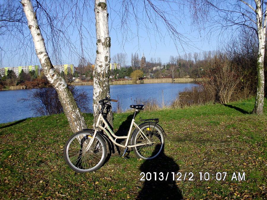 W grudniowym słońcu nad stawem Foryśka w Piaśnikach