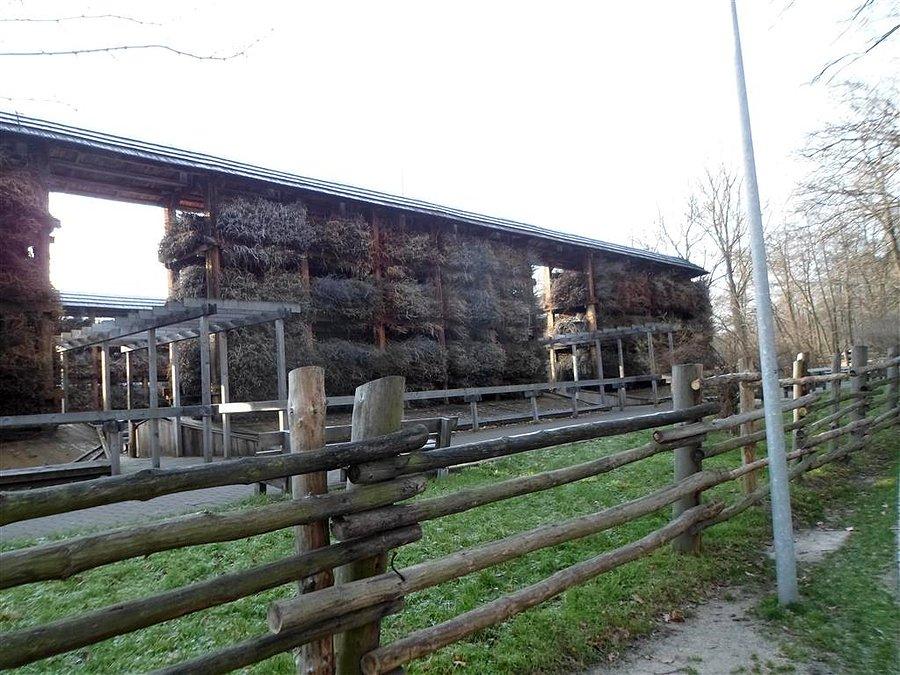 Tężnie w Konstancinie
