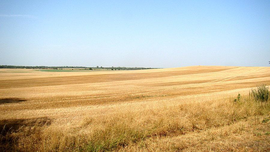 Pola, pola i jeszcze raz pola