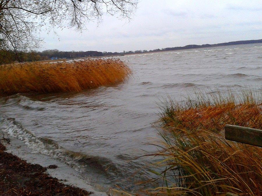 Jezioro Miedwie - ostro wiało