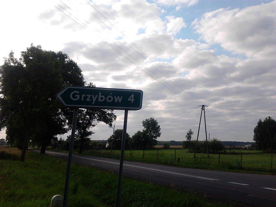 Ale za to pare km do Grzybowa