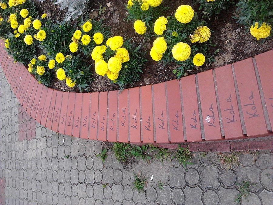Ta Kola jest orginalna