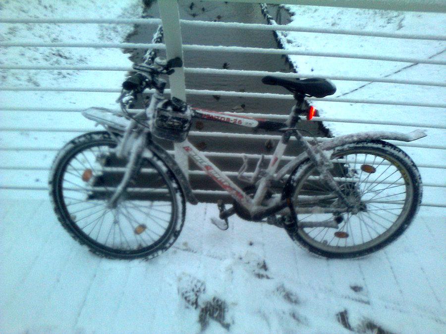 Rower na śniegu