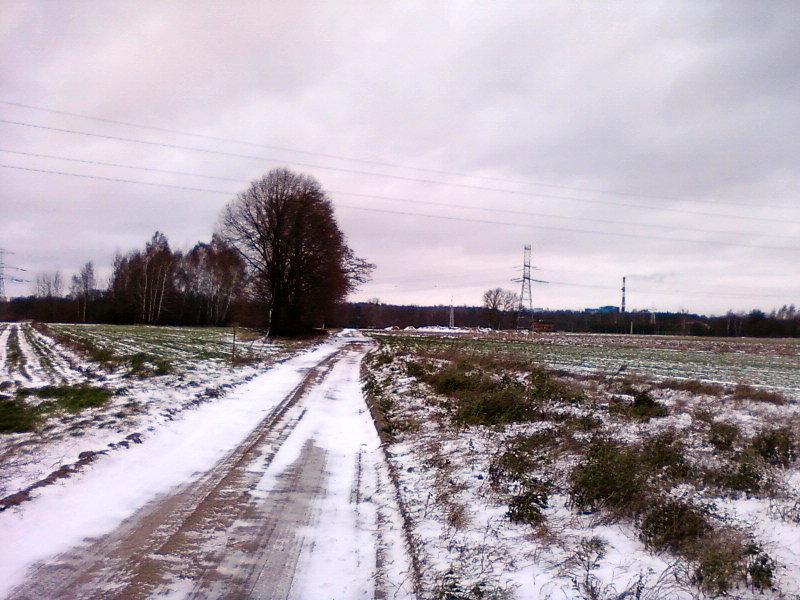 Wietrzna droga przez pola