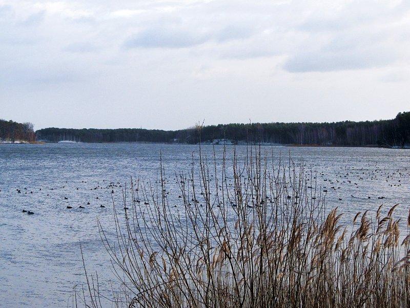 Jezioro Kowalskie