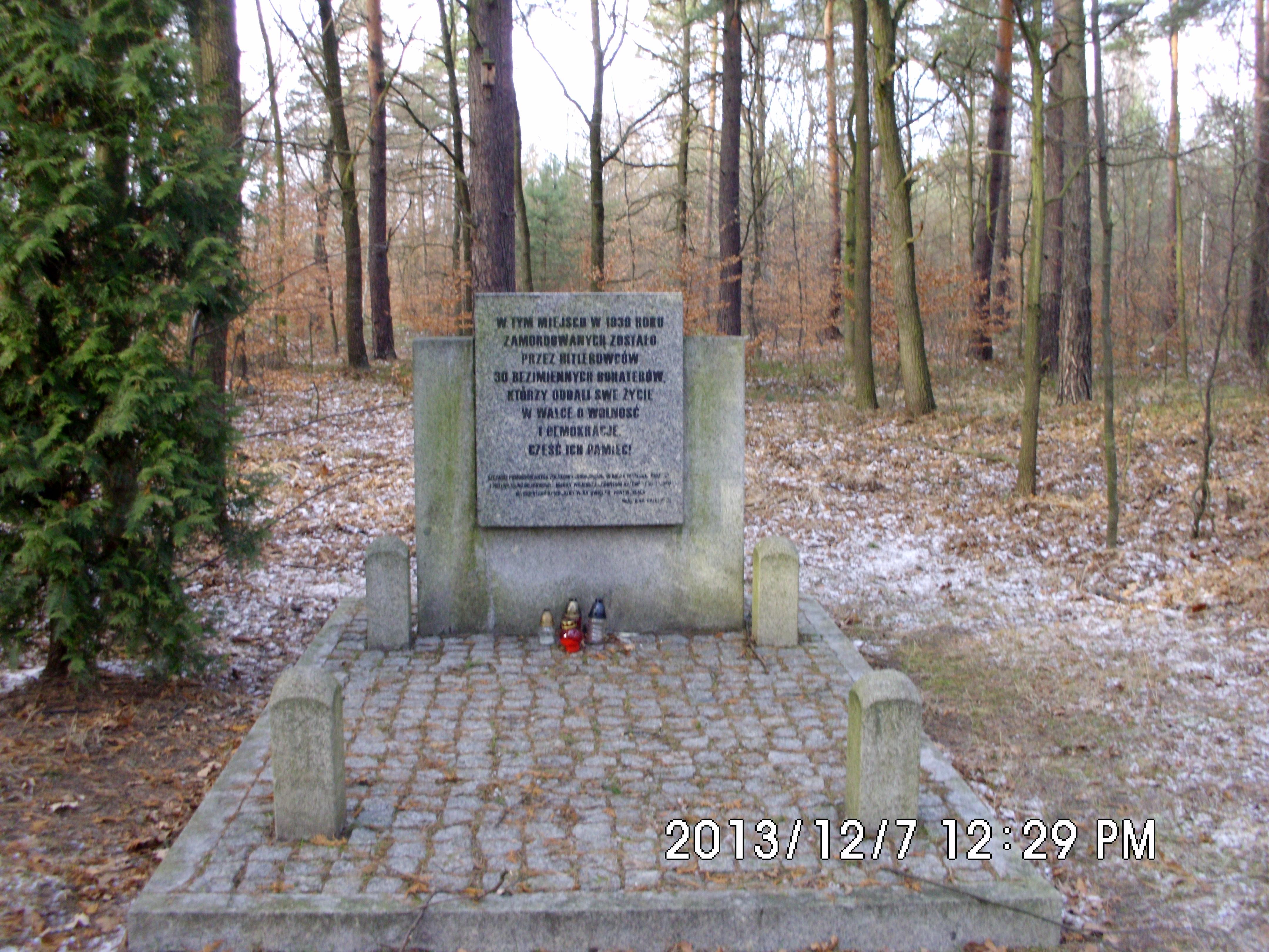 Miejsce męczeństwa ofiar hitlerowskich w lesie koło Stargańca