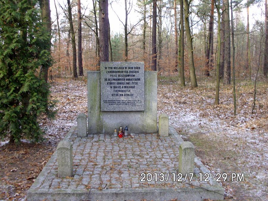 Miejsce męczeństwa ofiar hitlerowskich w lesie koło Stargańca