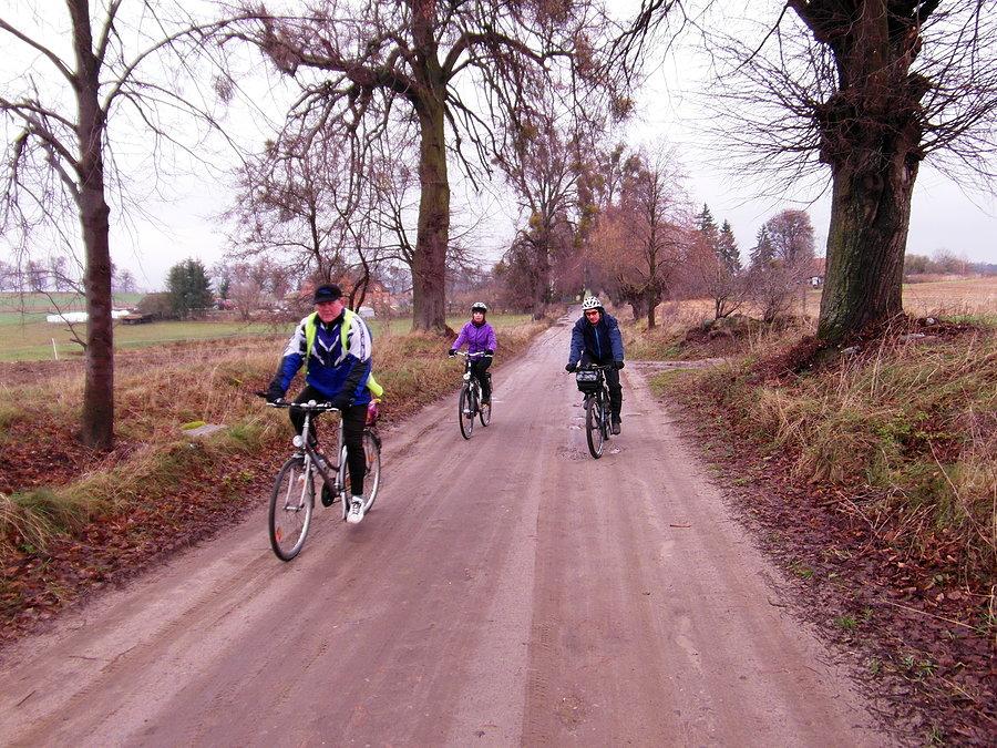Rowerzyści w drodze