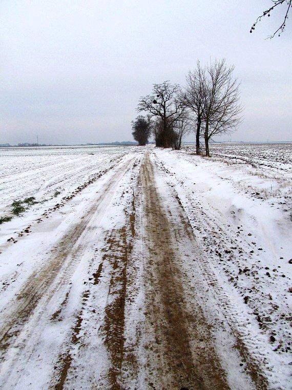 Droga polna Biskupice - Uzarzewo