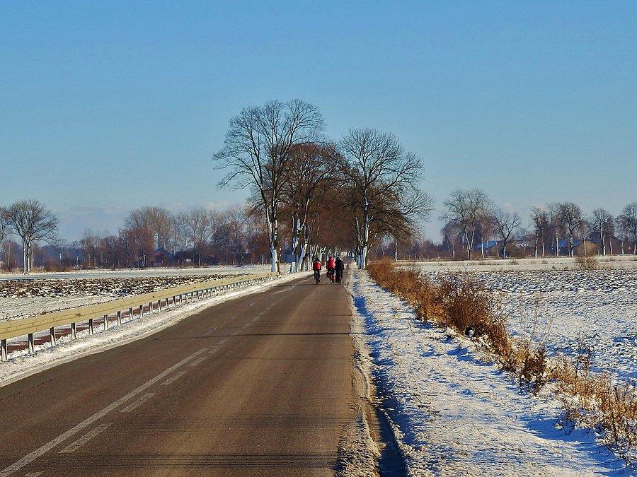 W drodze do Nowego Stawu