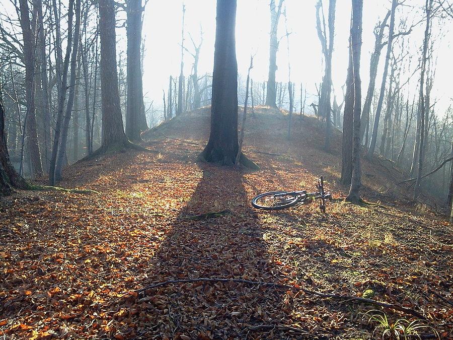 Zómczysko w Jaworzu
