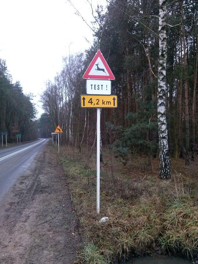 Test zagadka