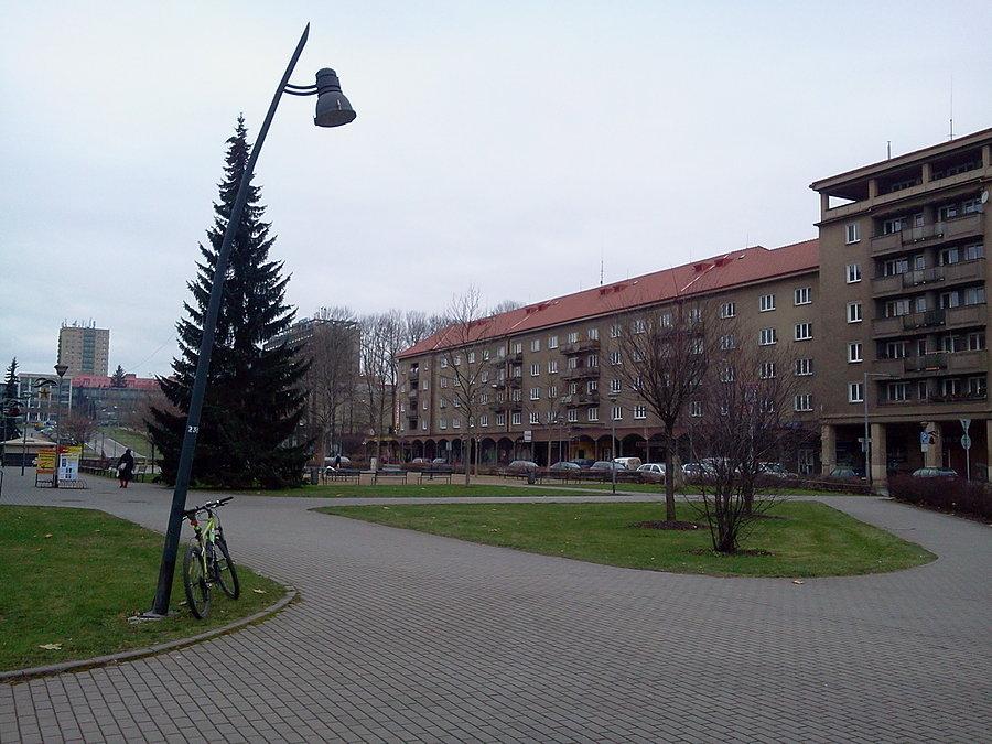 Trzyniec choinka