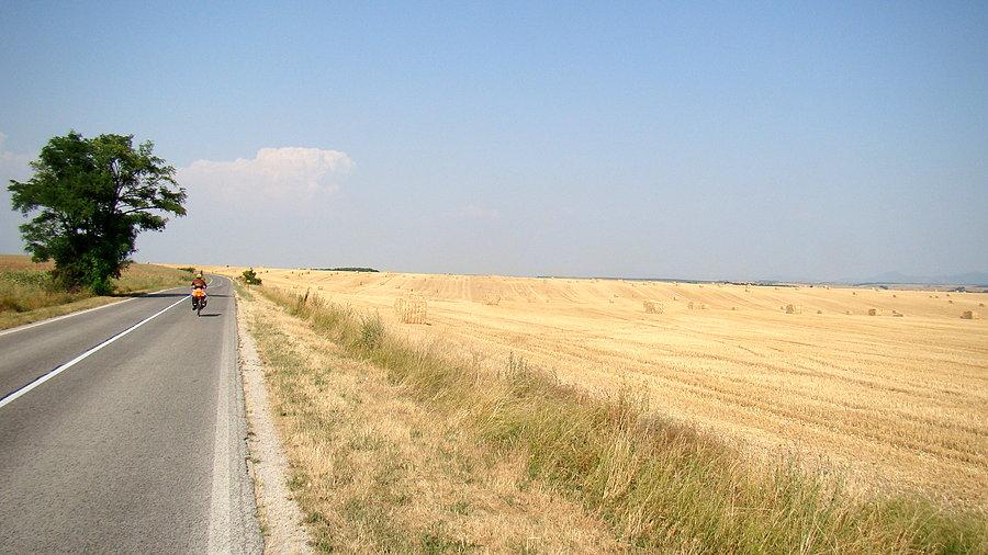 Znowu pola