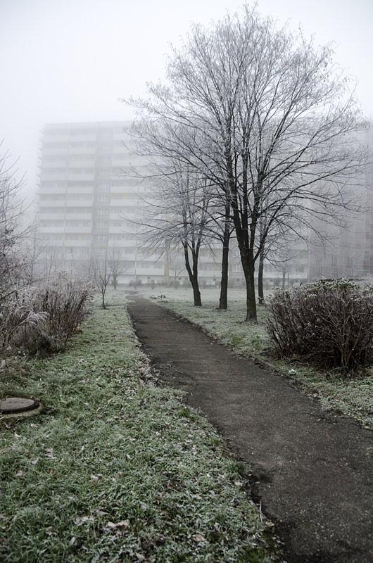 Dziwne miejsce na osadzenie się szadzi... - jedyne w jakim była