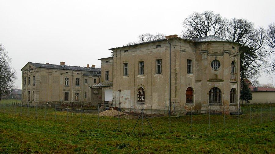Pałac w Swadzimiu - widok od strony parku