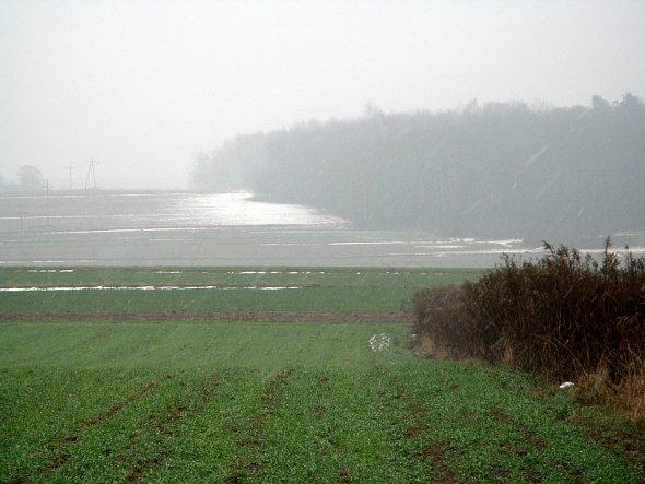 Mgła nad polami koło Tuszowa