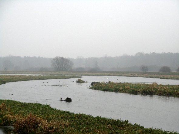Mgła nad Zalewem Zemborzyckim