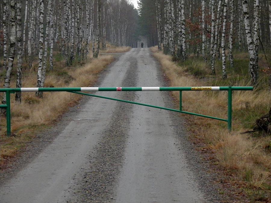 Leśna droga nr 27 - 15 grudnia 13 r ,w oddali rowerzysta
