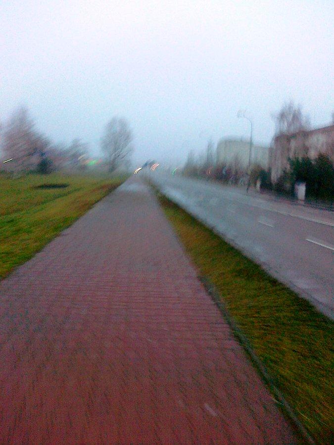 Mgła na Piastów Śląskich