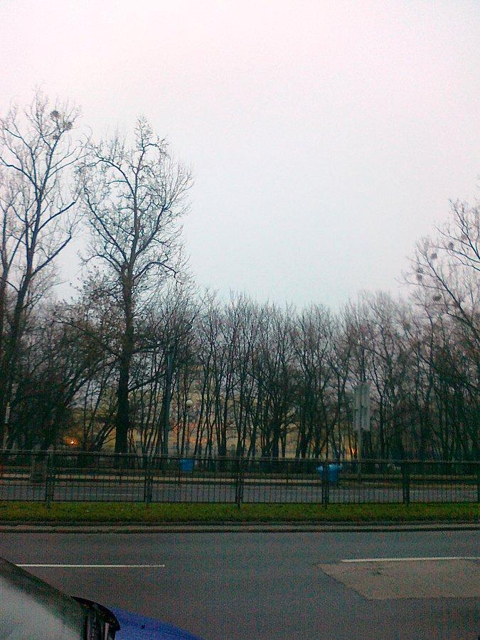 Za drzewami budynek Instytutu Meteorologii i Gospodarki Wodnej
